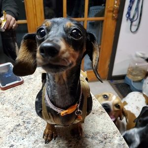 Meet your Posher, Miranda